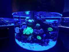 -上和臻品中国菜(花园街店)