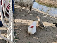 -东郊湿地公园