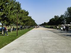 -汉长安城未央宫国家考古遗址公园