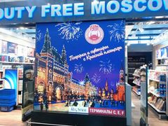 -谢列梅捷沃国际机场