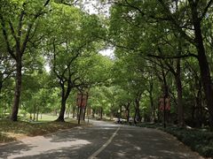 -东方绿舟景区