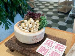 -椰子不语 椰子鸡火锅(淮海店)