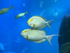 -福州罗源湾海洋世界旅游区