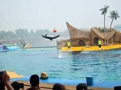 -秦皇岛乐岛海洋王国