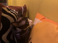 -La Tavernetta(Bar à Vin)(乌鲁木齐路店)