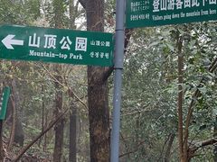-紫金山山顶公园