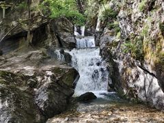 -牛背梁国家森林公园