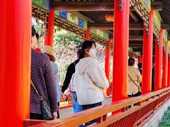 -南汇桃花村