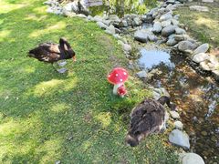 景观位-HERRE·FARM 赫尔露营农场·团建聚会包场