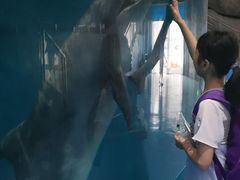 -福州罗源湾海洋世界旅游区