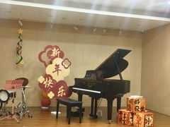 -珠江钢琴艺术中心(文一路店)