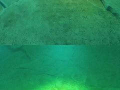 -白鹤梁水下博物馆