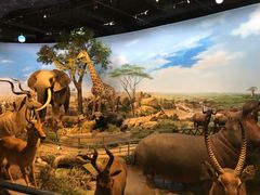 -陕西自然博物馆