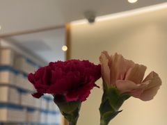 -深圳佑诺口腔门诊部