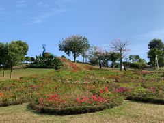 -东莞植物园