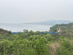 -小赖鱼馆