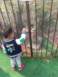 -萌宠亲子动物乐园(槐房万达店)