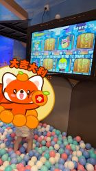 -卡通尼·Safari非洲探索乐园·生日会(金桥国际商业广场店)