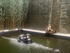 -天津海河悦榕庄·Lobby Lounge大堂吧