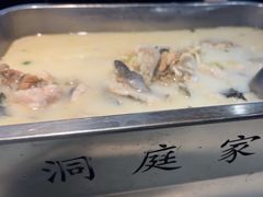 -洞庭家宴·头牌甲鱼(广渠门店)