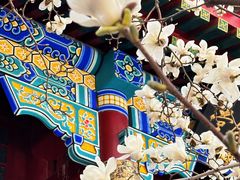 -天津大悲禅院
