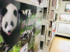 -熊猫邮局(少城店)