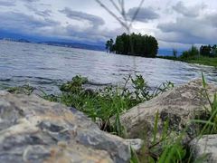 -洱海月湿地公园