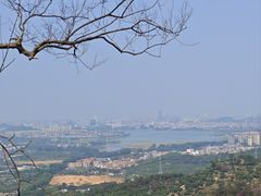 -东莞市大岭山森林公园