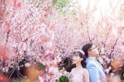 点击看大图 -巴黎春天·菀纱仙庭婚纱美学