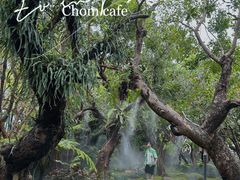 -Chom Cafe and Restaurant