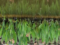 -神光山国家森林公园