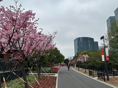 -上海凯宾斯基大酒店