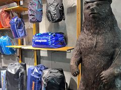 -Patagonia(三里屯SOHO店)
