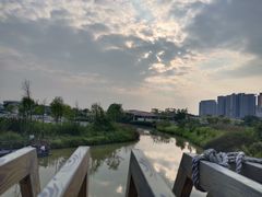-江门古劳水乡旅游区