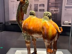 -贵州省博物馆(新馆)