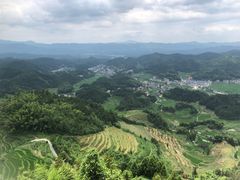 -紫鹊界梯田景区