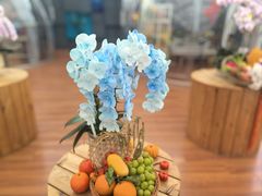 -万顷园艺世界