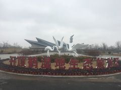 -盐城丹顶鹤湿地生态旅游区