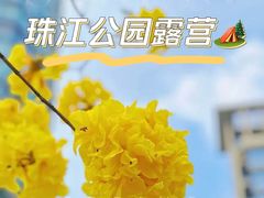 -广州珠江公园