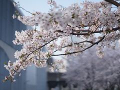 -龙美术馆(西岸馆)