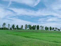 -花博汇(知音花月夜)