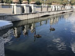 -长春世界雕塑园冰雪艺术天地