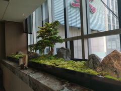 -同庆楼(天鹅酒家店)