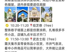 -圣淘沙天际线斜坡滑车
