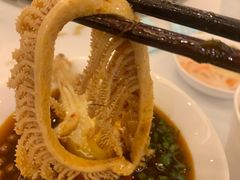 -川道拐耗儿鱼(旗舰店)