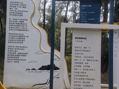 -大京沙滩