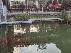 -迎泽公园