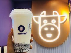绿豆酸奶紫米露-一只酸奶牛(兰州中心店)