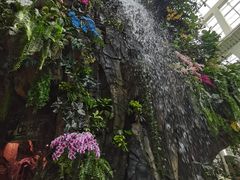 -正佳雨林生态植物园