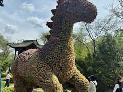 -沈阳植物园